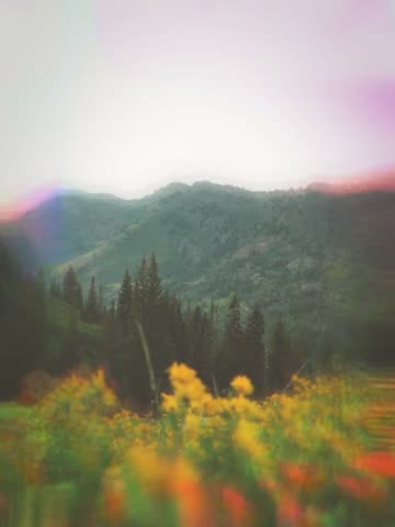 Prism Haze look